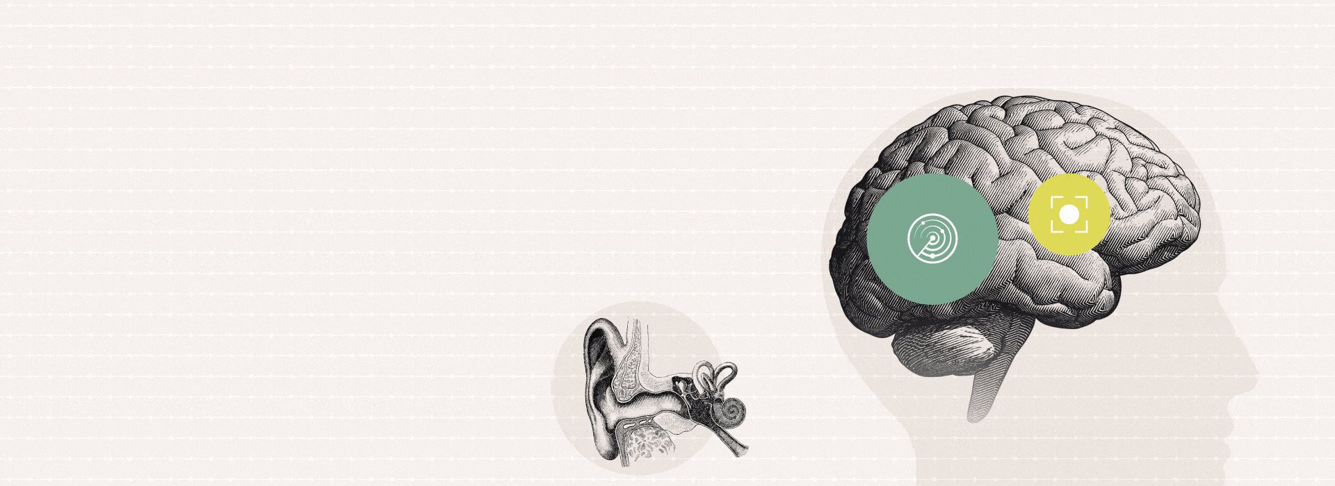 brainhearing no repeat.gifqh700alaen ZAaw1920arev64AAahashC9138966B12E351C57119BE5F0F64295.pagespeed.ce.oqXXh2n2QA